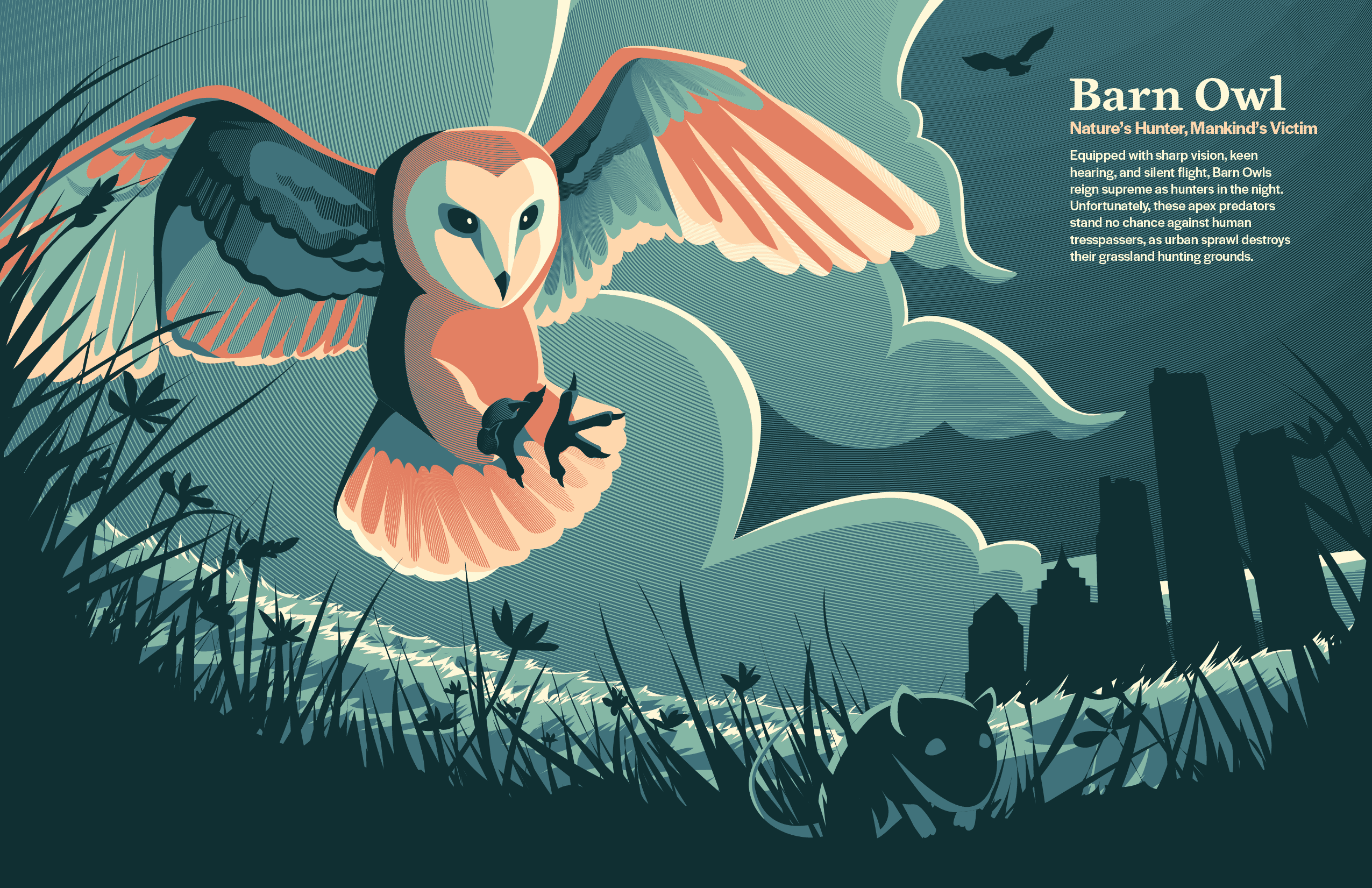 Owl poster design