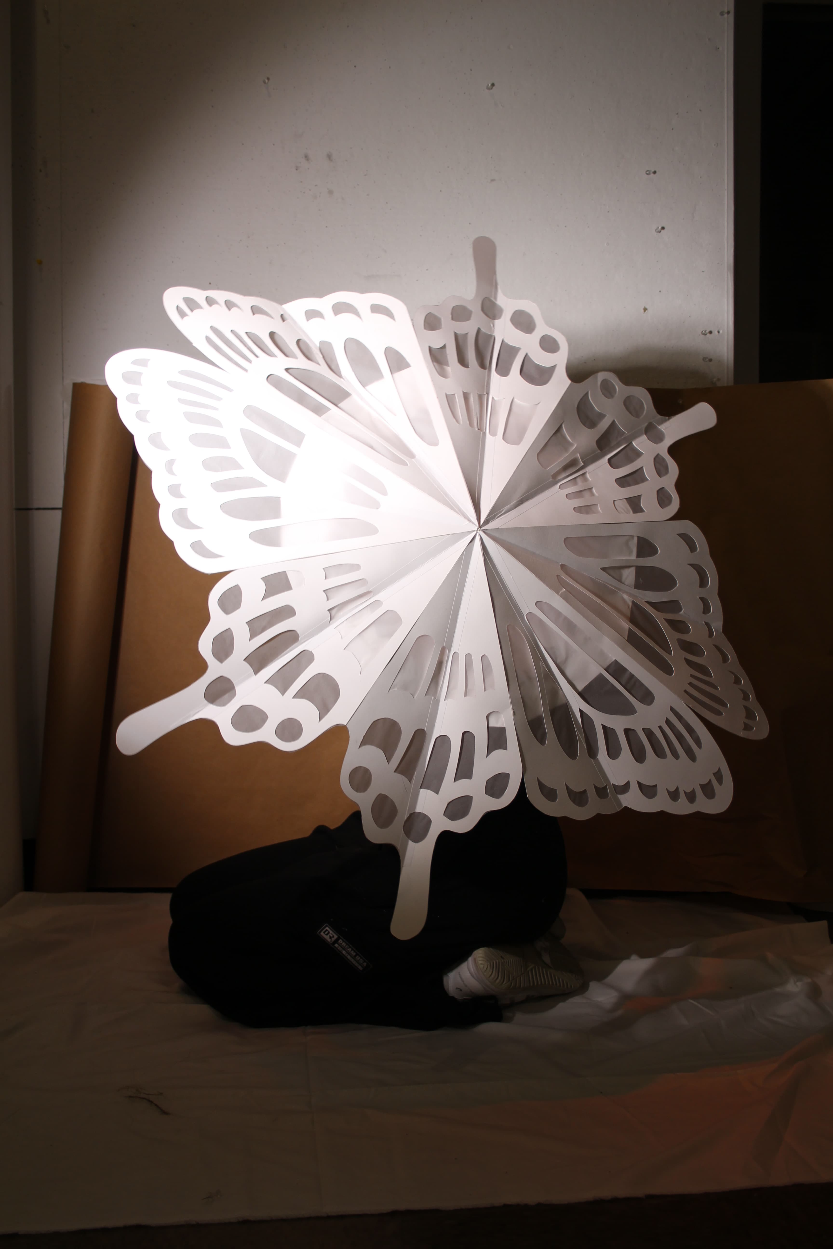 Umbrella project